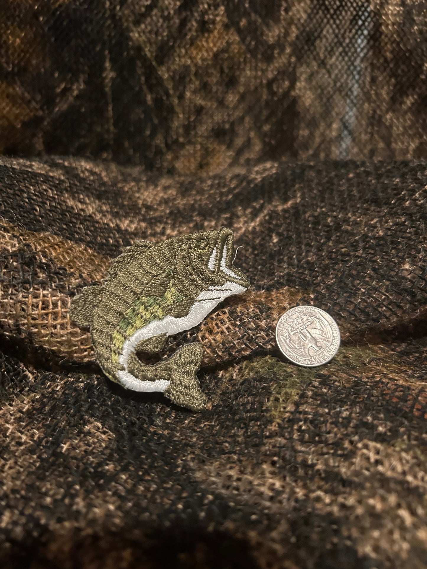 Largemouth bass patch