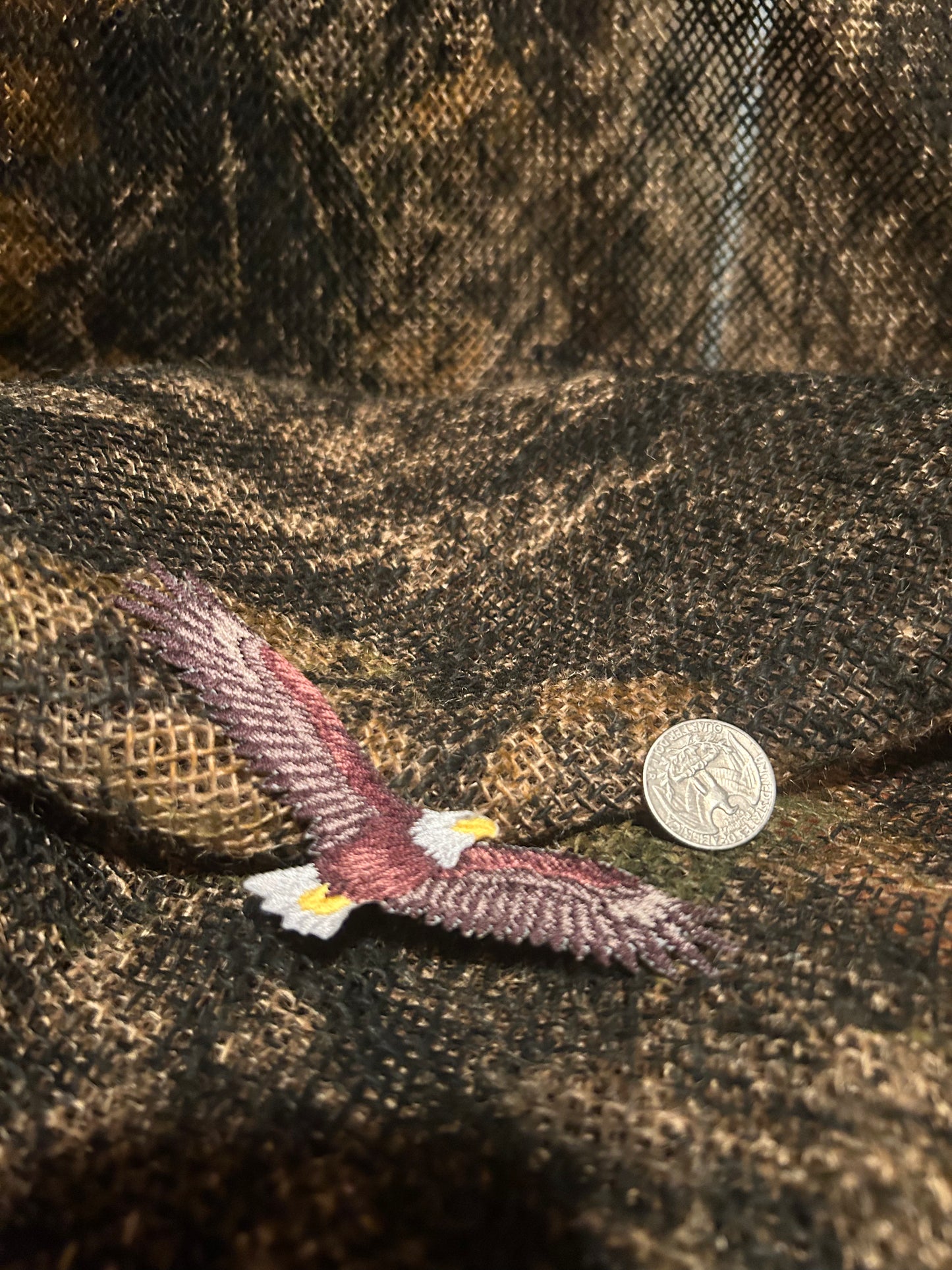 American bald eagle patch