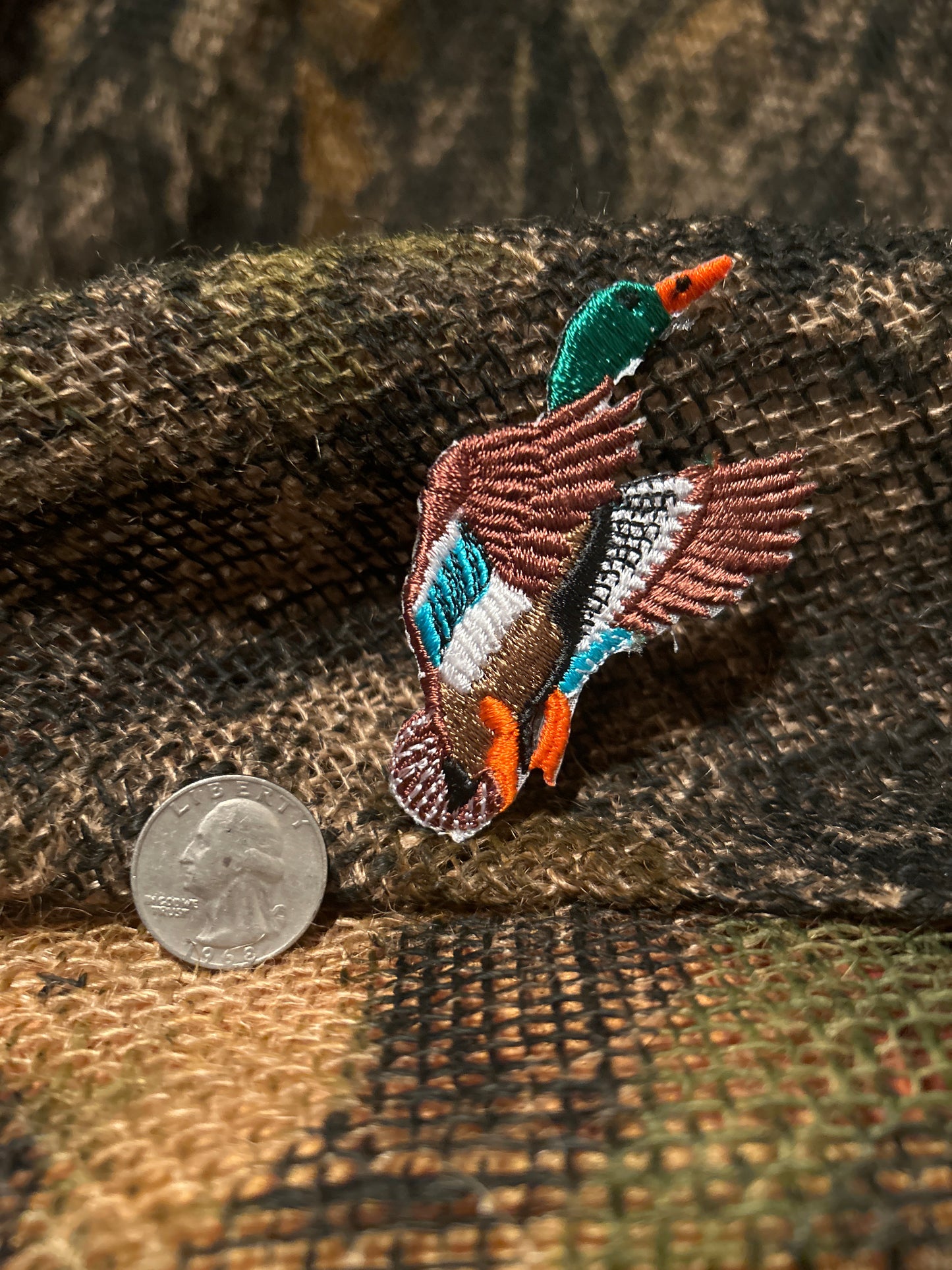 Duck Hunting