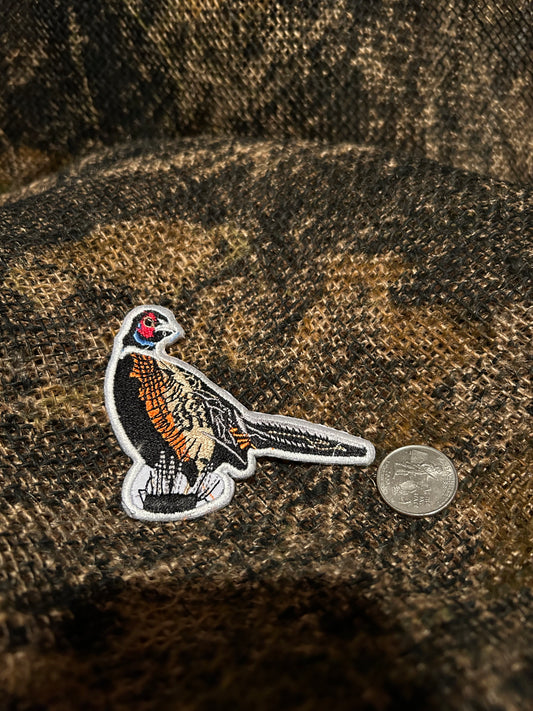 Pheasant patch